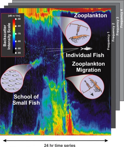 AZFP浮游生物魚類在線剖面監測系統