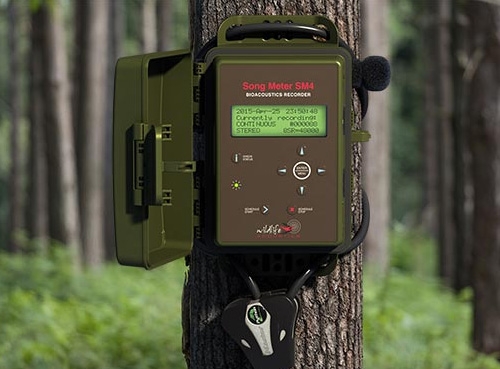 鳥類動(dòng)物鳴聲自動(dòng)記錄儀Song Meter SM4