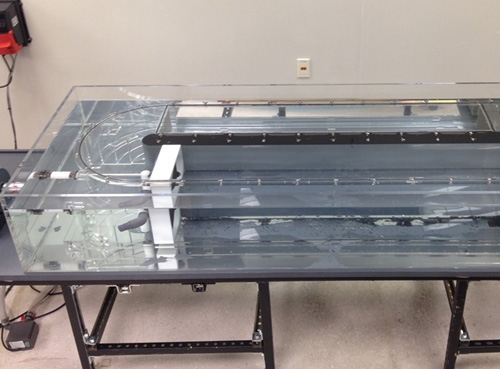 魚類與水生生物游泳能力、呼吸代謝測量儀