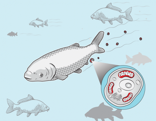 便攜式環(huán)境eDNA采集系統(tǒng)