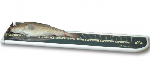 魚類生物學電子測量系統