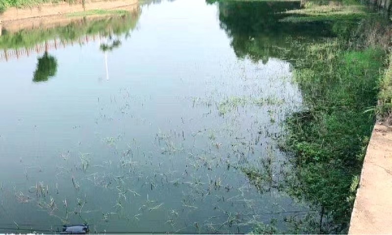 1631864077980084.jpg Kpap0F_十天后.jpg