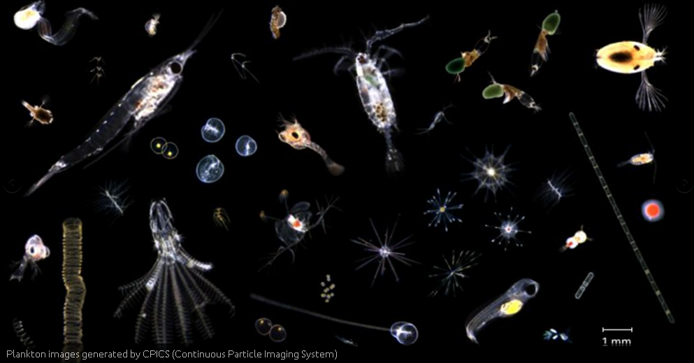 1631944012107812.png lcg7sw_圖片6.png