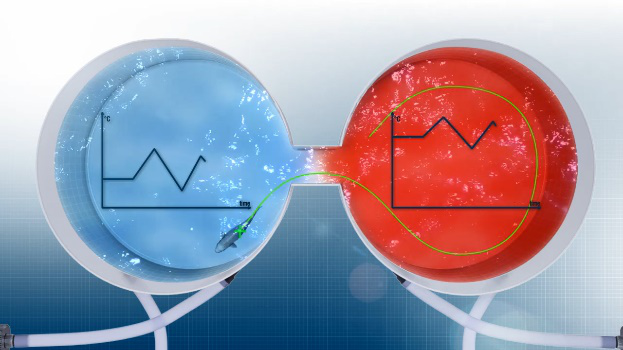 1632279510981752.png k4wPwn_圖片1.png