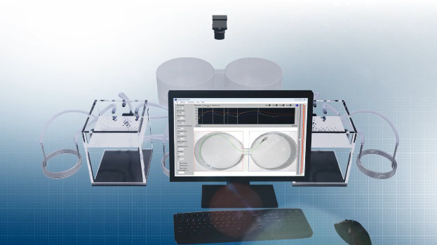 1632279517854770.png H6TTBC_圖片2.png