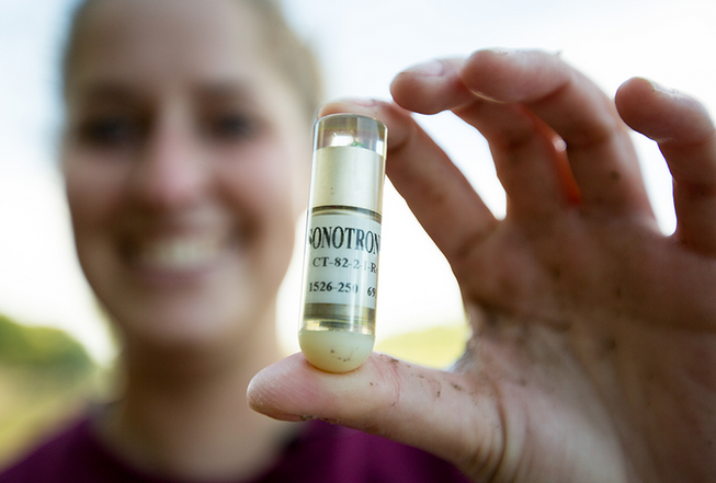 1632280432491755.png LaBOzB_圖片2.png