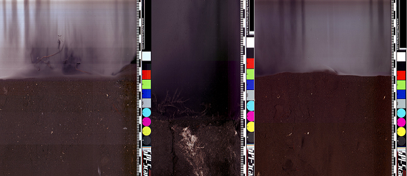 1632464211353759.png Vh8duF_圖片1.png