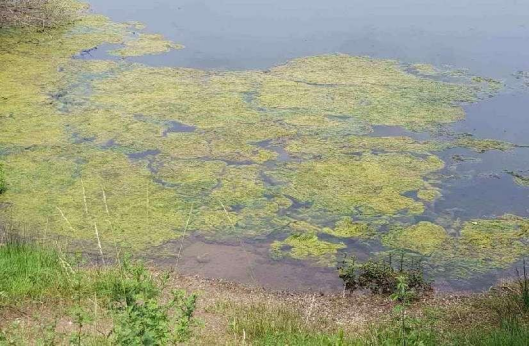 1682214612336501.png image.png