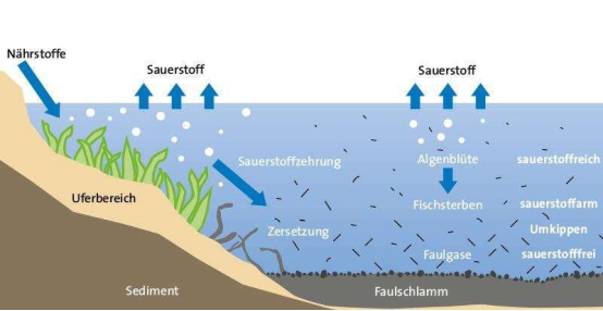 1682214651158586.png image.png