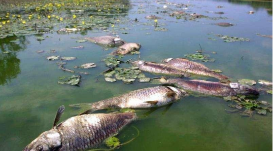 1682214679956275.png image.png