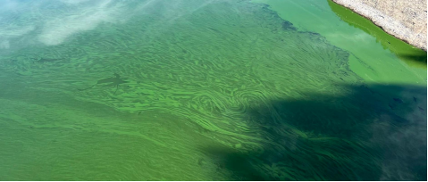 1690184361451630.png image.png