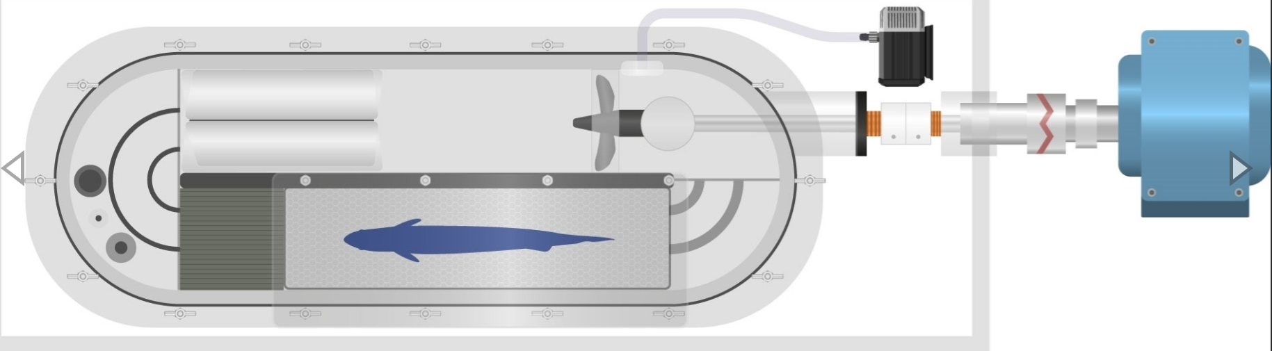 1690531251263608.png 圖片1.png