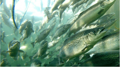 1708399443943213.png image.png