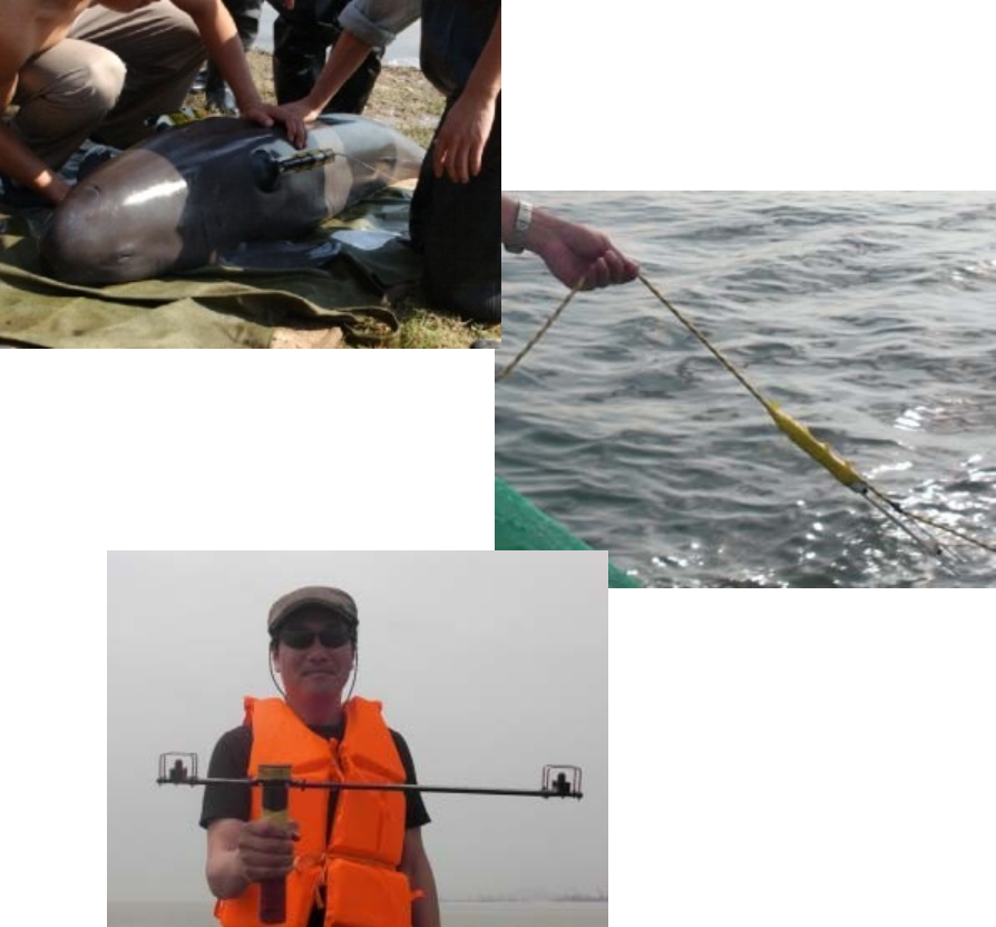 1726040120776355.png image.png