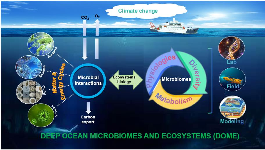 1729147530900906.png image.png