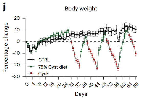 Body weight in mice 小鼠體重