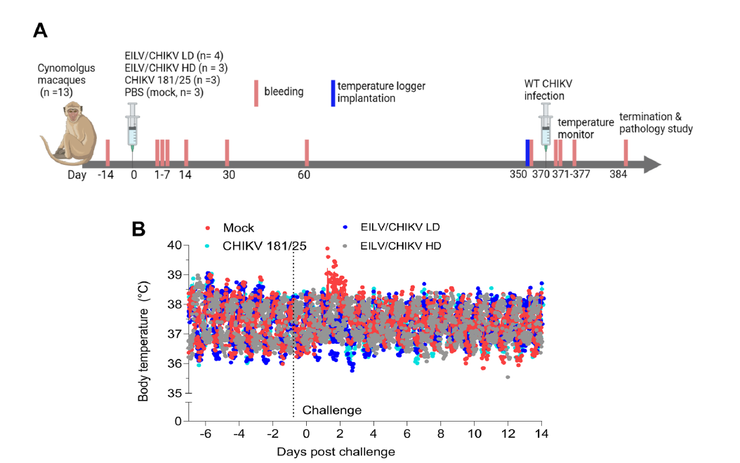 he temperature variations during the first study challenge period 第一個研究挑戰期間的溫度變化